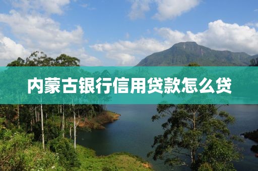 内蒙古银行信用贷款怎么贷