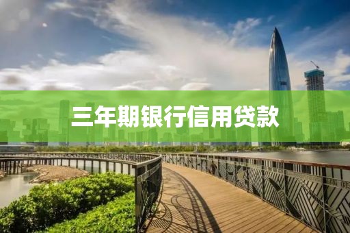三年期银行信用贷款