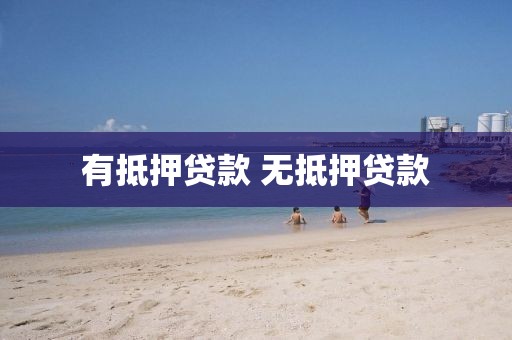有抵押贷款 无抵押贷款