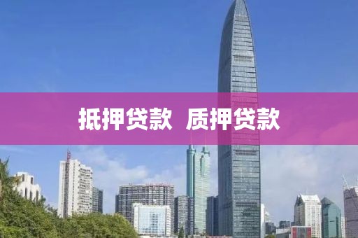 抵押贷款  质押贷款