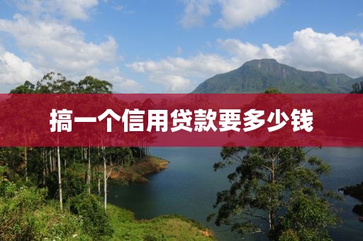 搞一个信用贷款要多少钱