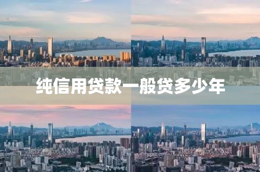 纯信用贷款一般贷多少年
