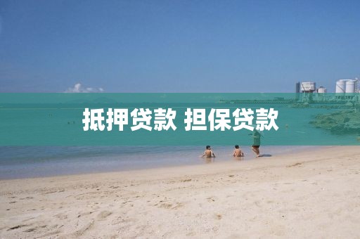 抵押贷款 担保贷款