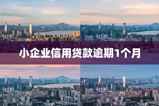 小企业信用贷款逾期1个月