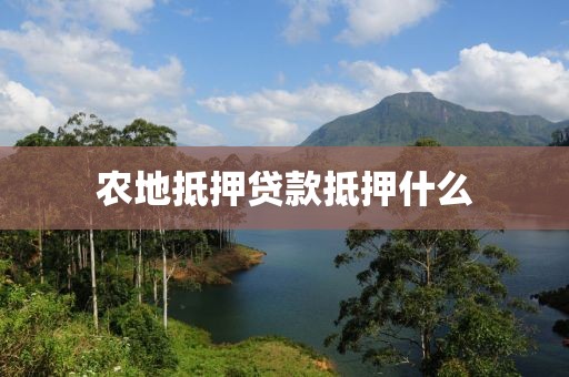 农地抵押贷款抵押什么