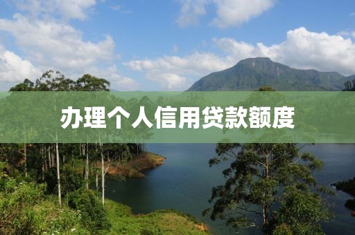 办理个人信用贷款额度