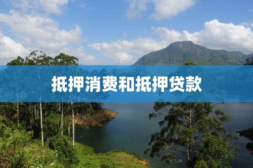 抵押消费和抵押贷款