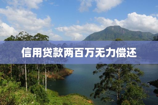 信用贷款两百万无力偿还