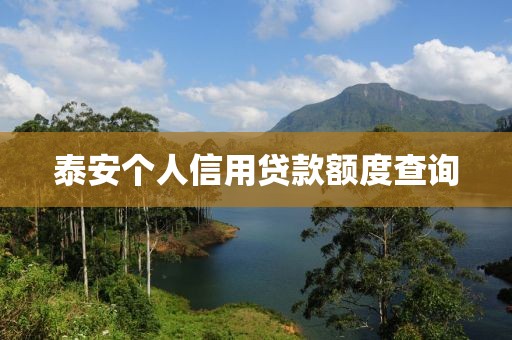 泰安个人信用贷款额度查询