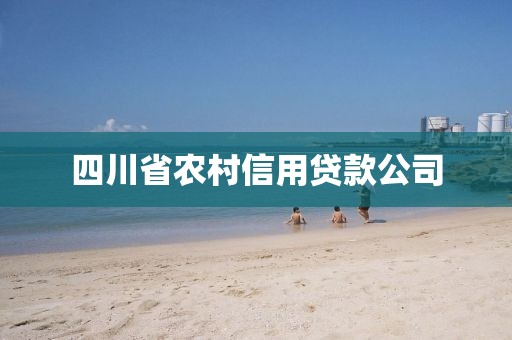 四川省农村信用贷款公司