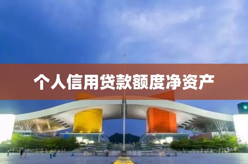 个人信用贷款额度净资产