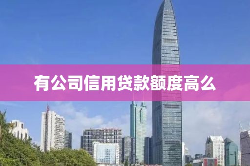 有公司信用贷款额度高么