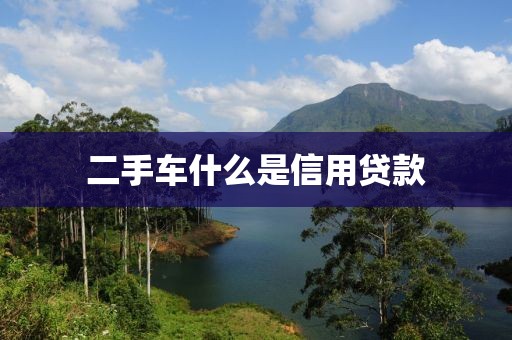 二手车什么是信用贷款