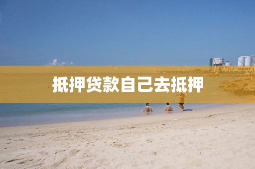 抵押贷款自己去抵押