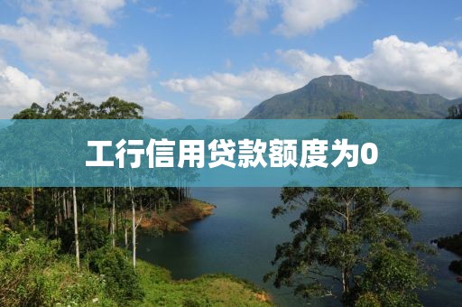 工行信用贷款额度为0
