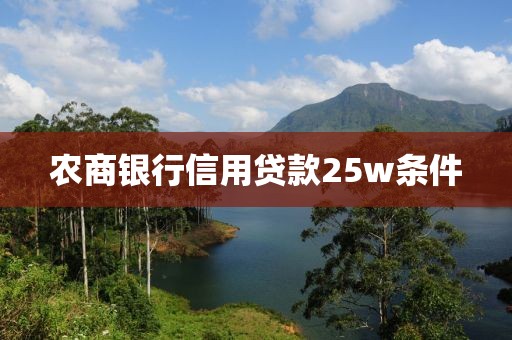 农商银行信用贷款25w条件