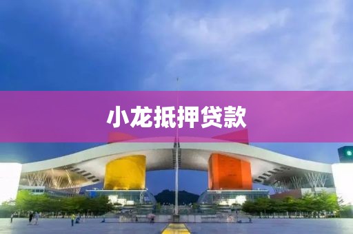 小龙抵押贷款