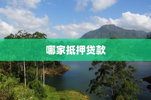 哪家抵押贷款