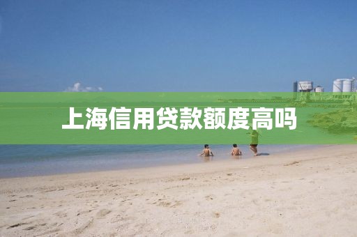 上海信用贷款额度高吗