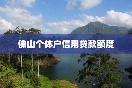 佛山个体户信用贷款额度