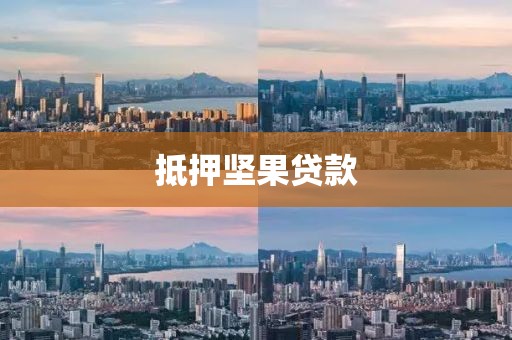 抵押坚果贷款