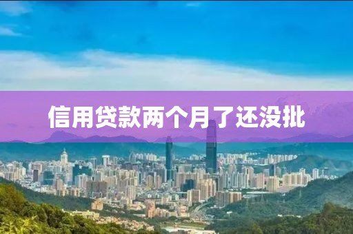 信用贷款两个月了还没批