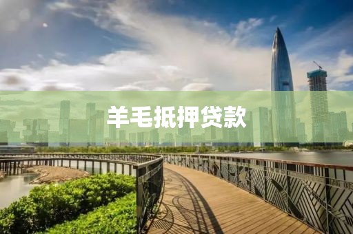 羊毛抵押贷款