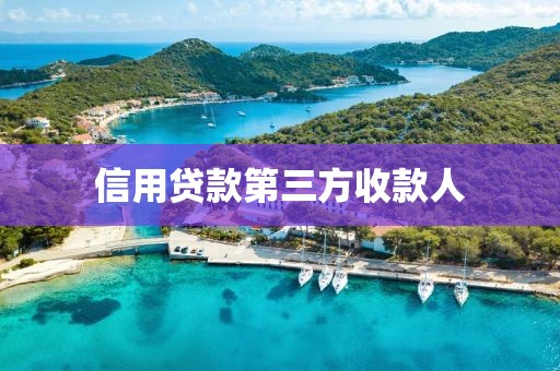 信用贷款第三方收款人