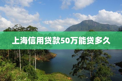 上海信用贷款50万能贷多久