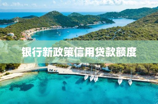 银行新政策信用贷款额度