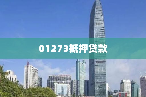01273抵押贷款