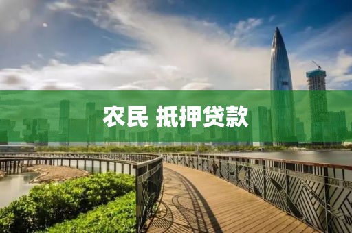 农民 抵押贷款