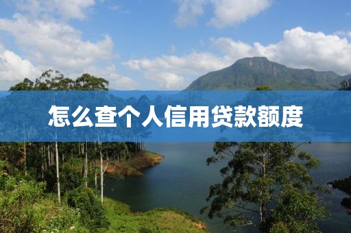 怎么查个人信用贷款额度