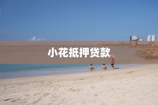 小花抵押贷款