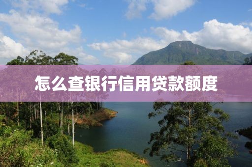 怎么查银行信用贷款额度