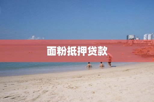 面粉抵押贷款