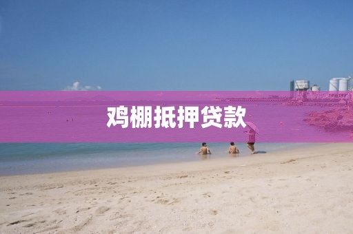 鸡棚抵押贷款