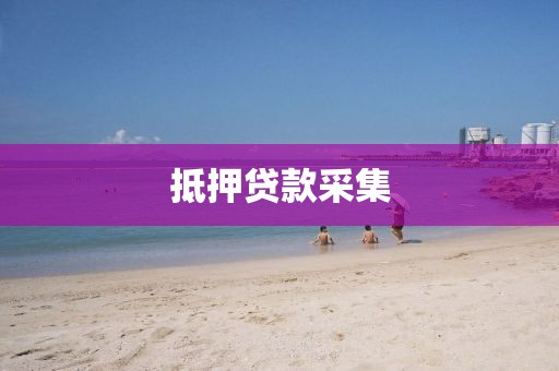 抵押贷款采集