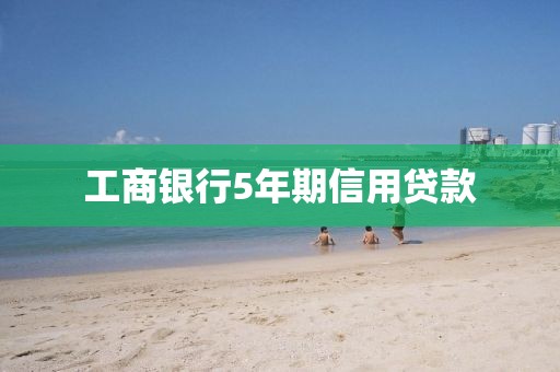 工商银行5年期信用贷款