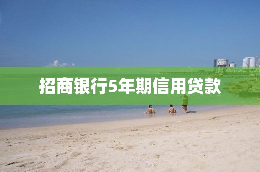 招商银行5年期信用贷款