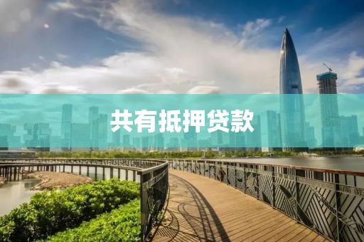 共有抵押贷款