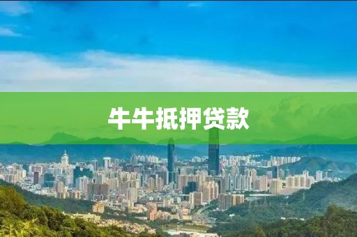 牛牛抵押贷款