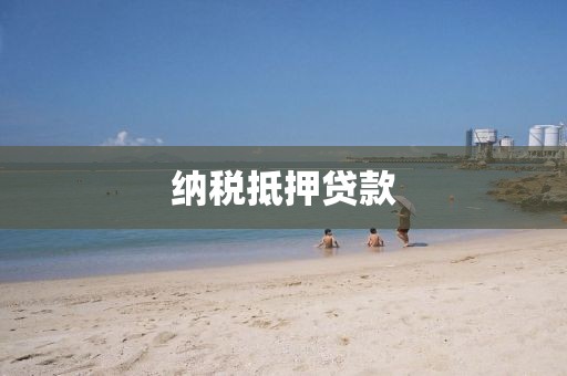 纳税抵押贷款