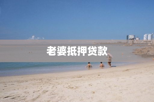 老婆抵押贷款