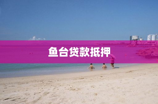 鱼台贷款抵押