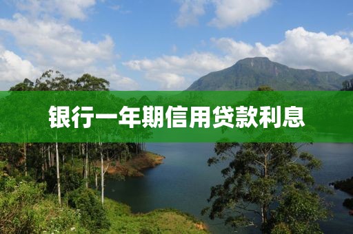 银行一年期信用贷款利息