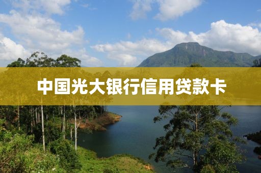 中国光大银行信用贷款卡