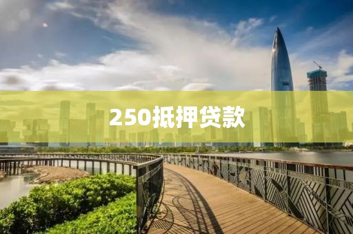 250抵押贷款