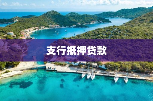 支行抵押贷款