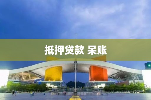 抵押贷款 呆账